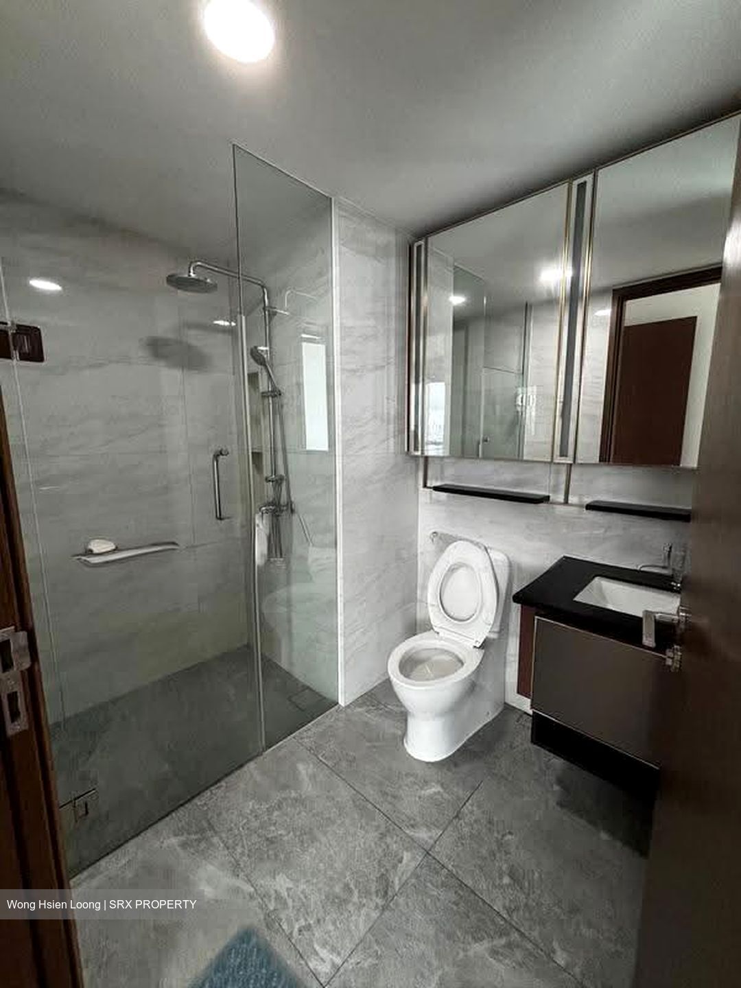 Normanton Park (D5), Apartment #612470941